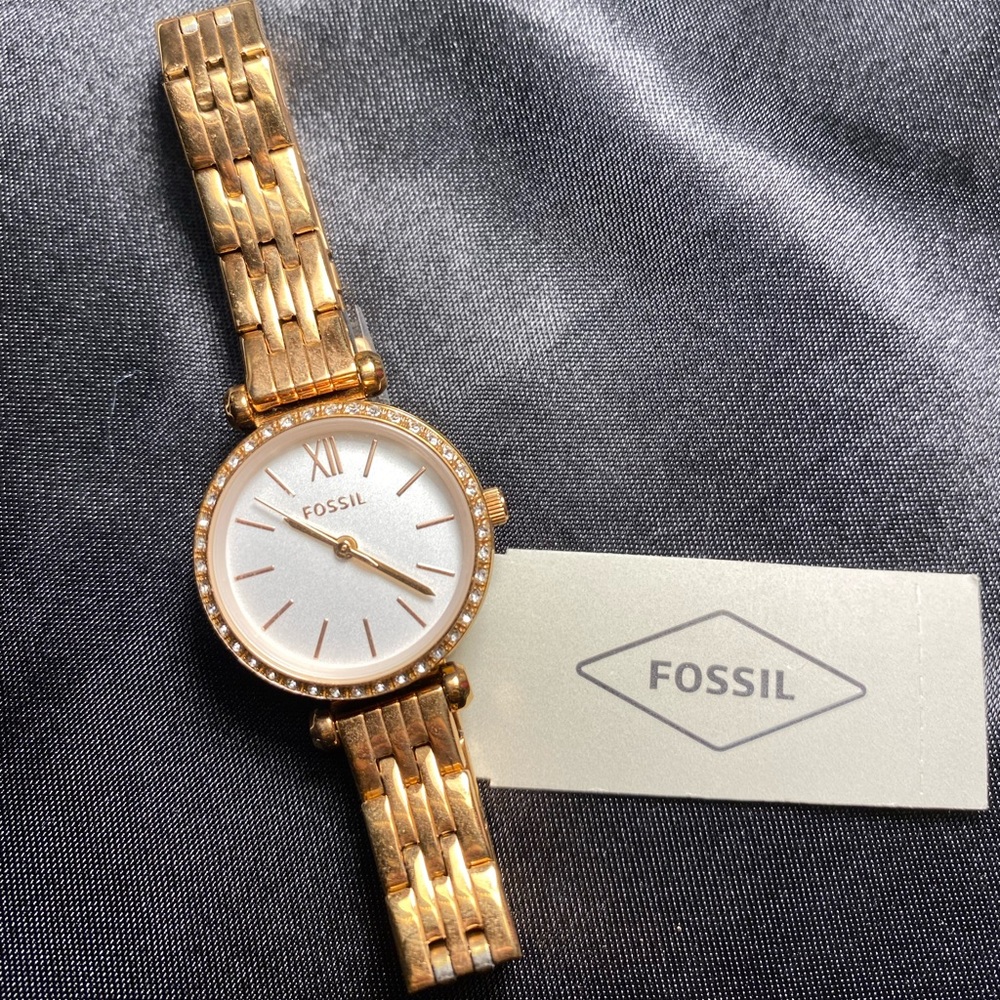 Fossil Watch